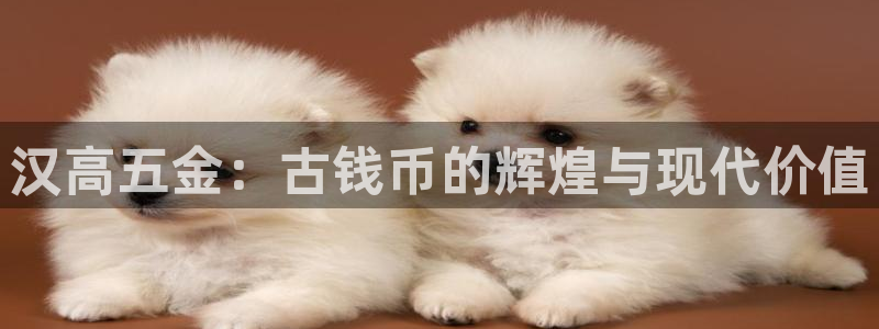 cq9电子辅助器