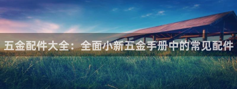 cq9电子黑豹
