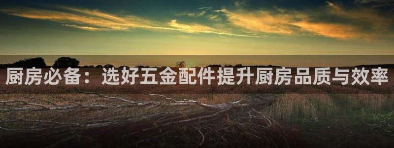 cq9电子辅助功能