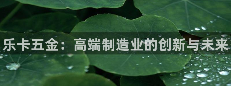 电子cq9是什么