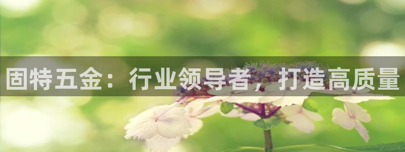 cq9电子最好的平台
