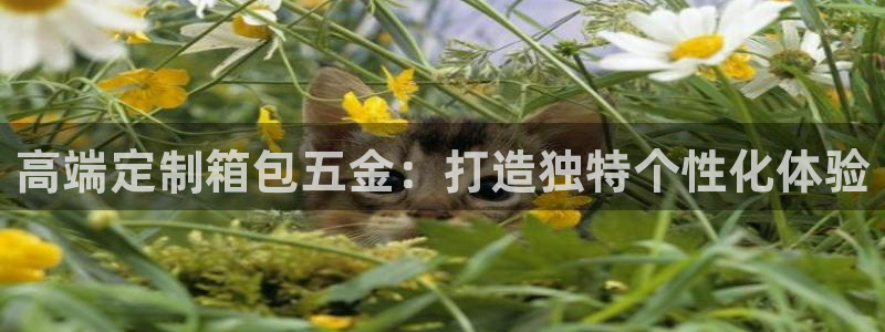 传奇cq9电子武圣