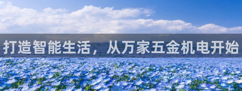 电子cq9狼