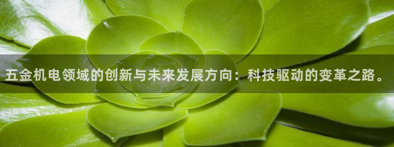 cq9电子琴