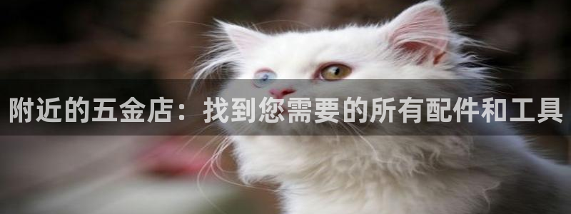 火凤凰cq9电子舞