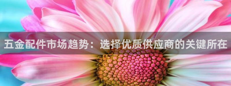 cq9传奇电子人气