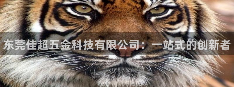 cq9传奇电子女王