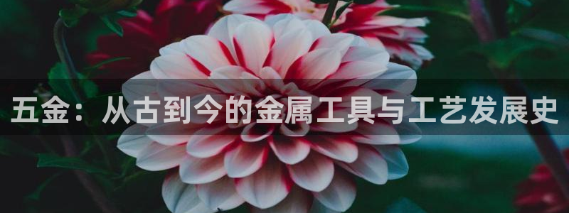 CQ9热门电子游戏