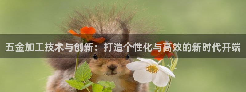 cq9电子传奇火凤凰
