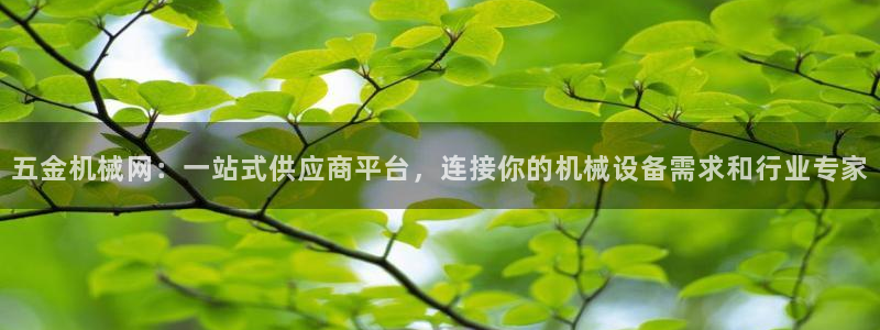 传奇电子cq9博彩网站