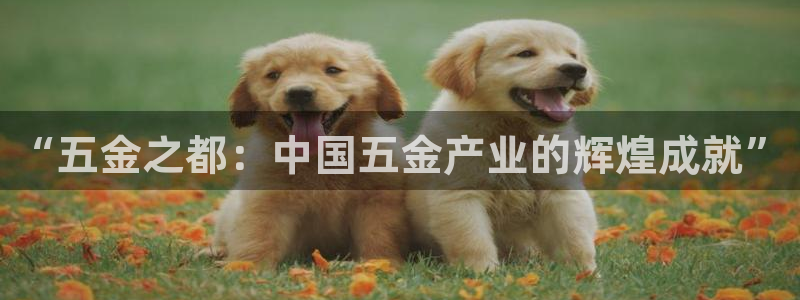 cq9电子神龙