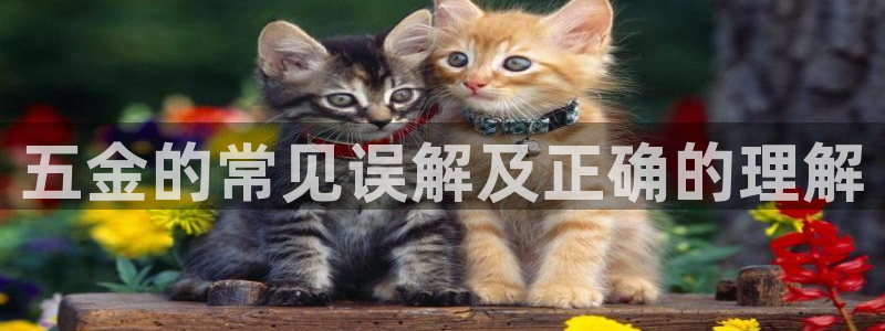 cq9电子血之吻