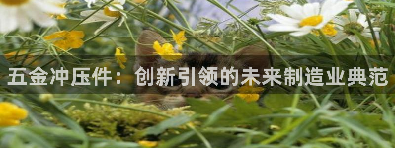 cq9电子满屏马视频