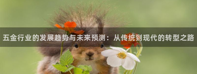 设计开发CQ9电子游艺