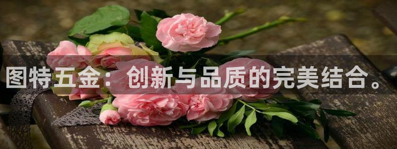 cq9电子 BG电子 PNG电子