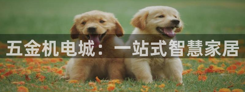 电子游戏cq9视频