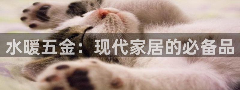 cq9传奇电子打法