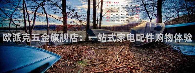 网赌电子CQ9爆分视频