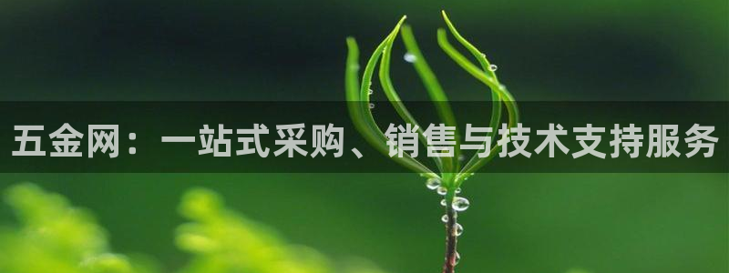 cq9电子跳高高给分