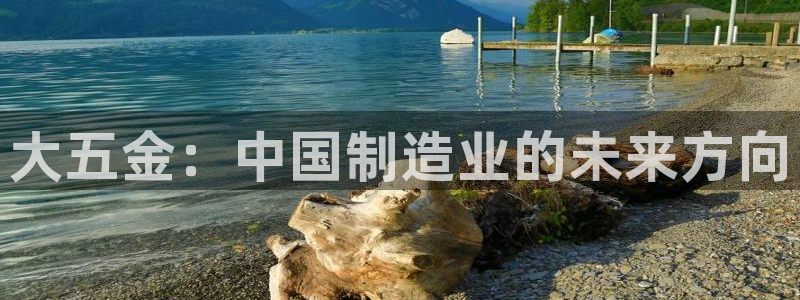 cq9电子辅助功能