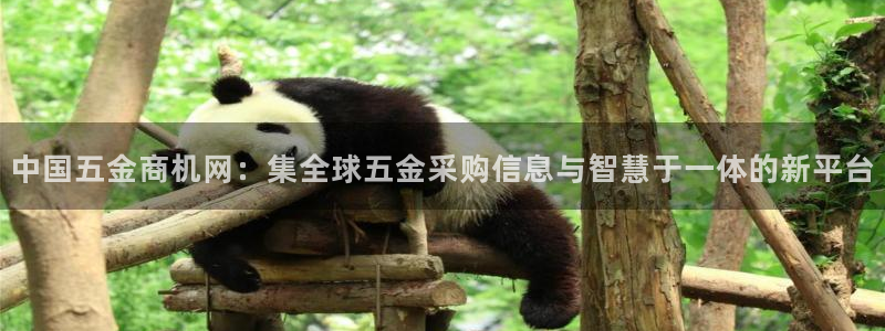 cq9电子跳高高给分