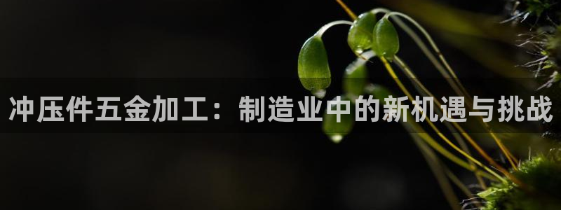 cq9电子平台官网