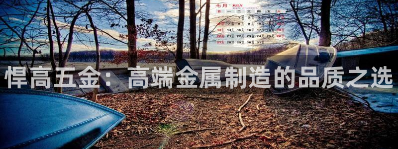 cq9电子在哪玩免费