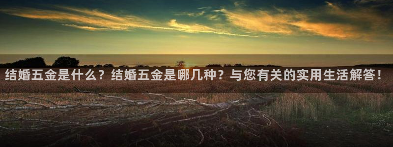 cq9电子野狼传说