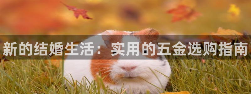 cq9电子中奖视频