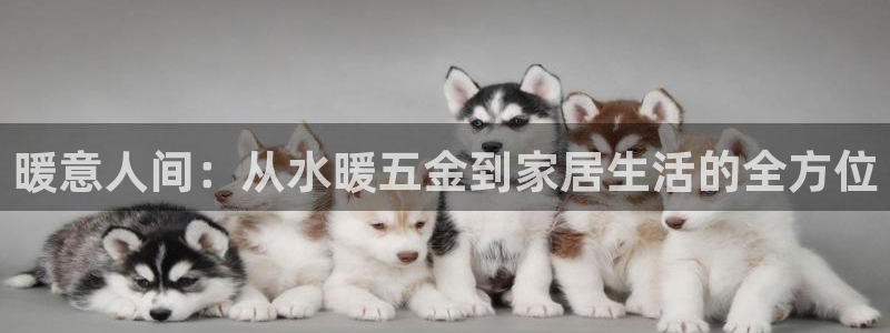 CQ9传奇电子甜蜜蜜