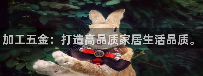 cq9电子和台子关系