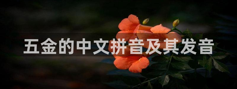 cq9电子平台游戏