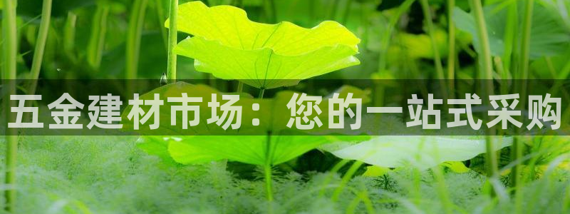 传奇电子cq9官网