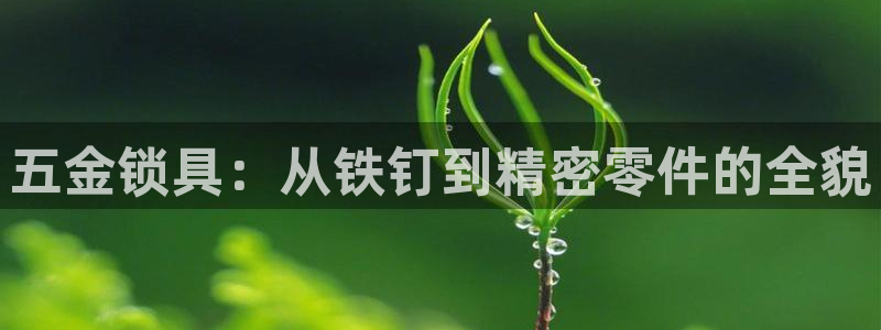 cq9传奇电子论坛