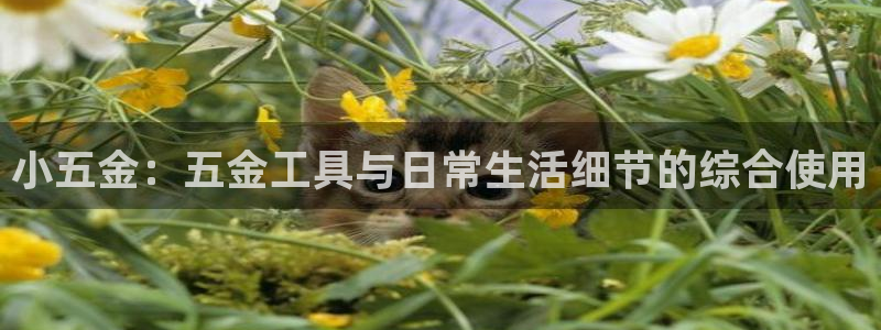 cq9电子跳高高漏洞