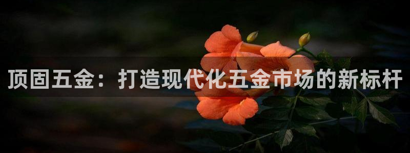 cq9电子平台秤厂家