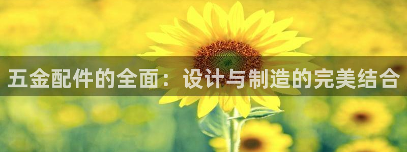 cq9电子赌城之夜