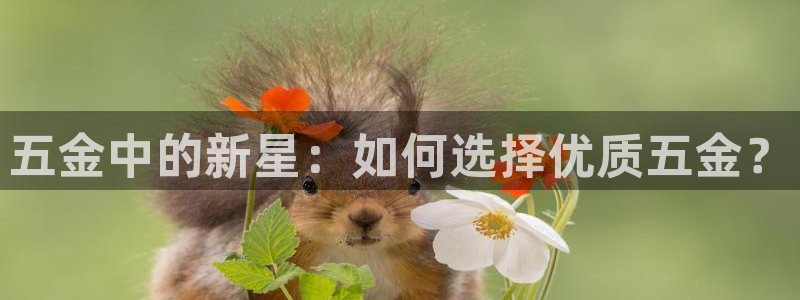 cq9电子双十一