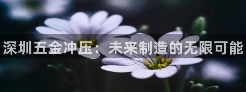 电子cq9视频