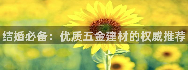 网页电子cq9游戏