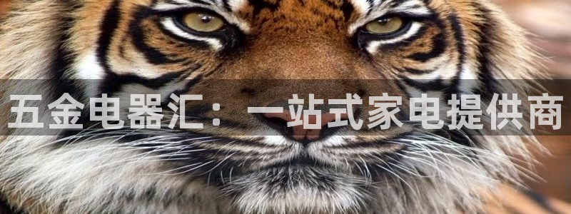 cq9电子假不假
