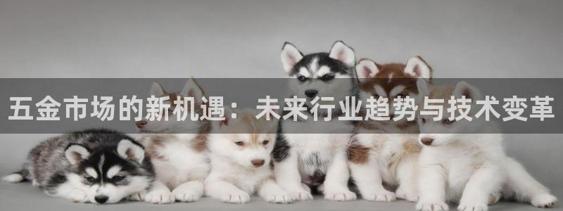 cq9电子宙斯大奖图片