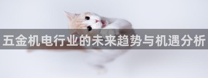 cq9电子雷神视频